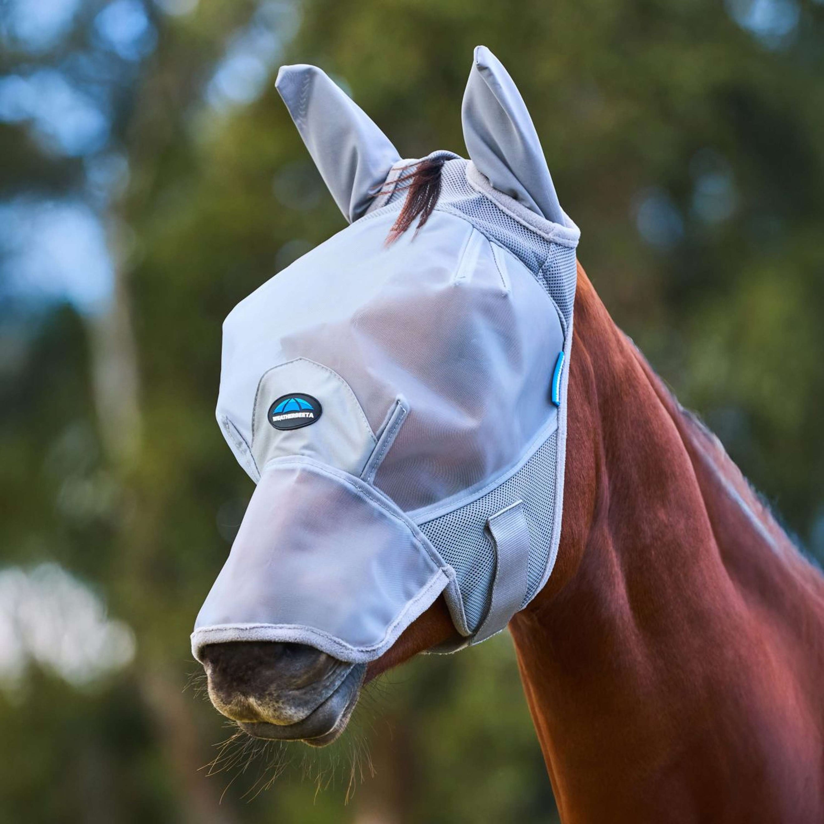 WeatherBeeta Fliegenmaske ComFiTec Fine mit Ohren und Nase Grau WeatherBeeta Fliegenmaske ComFiTec Fine mit Ohren und Nase Grau