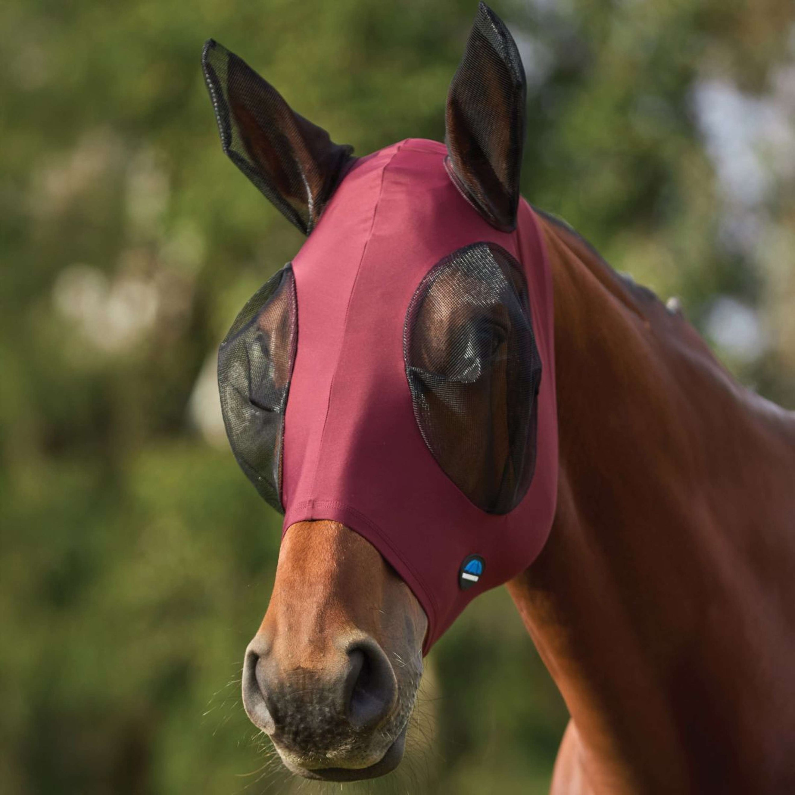 WeatherBeeta Fliegenmaske ComFiTec Stretch mit Ohren Burgundy/schwarz WeatherBeeta Fliegenmaske ComFiTec Stretch mit Ohren Burgundy/schwarz