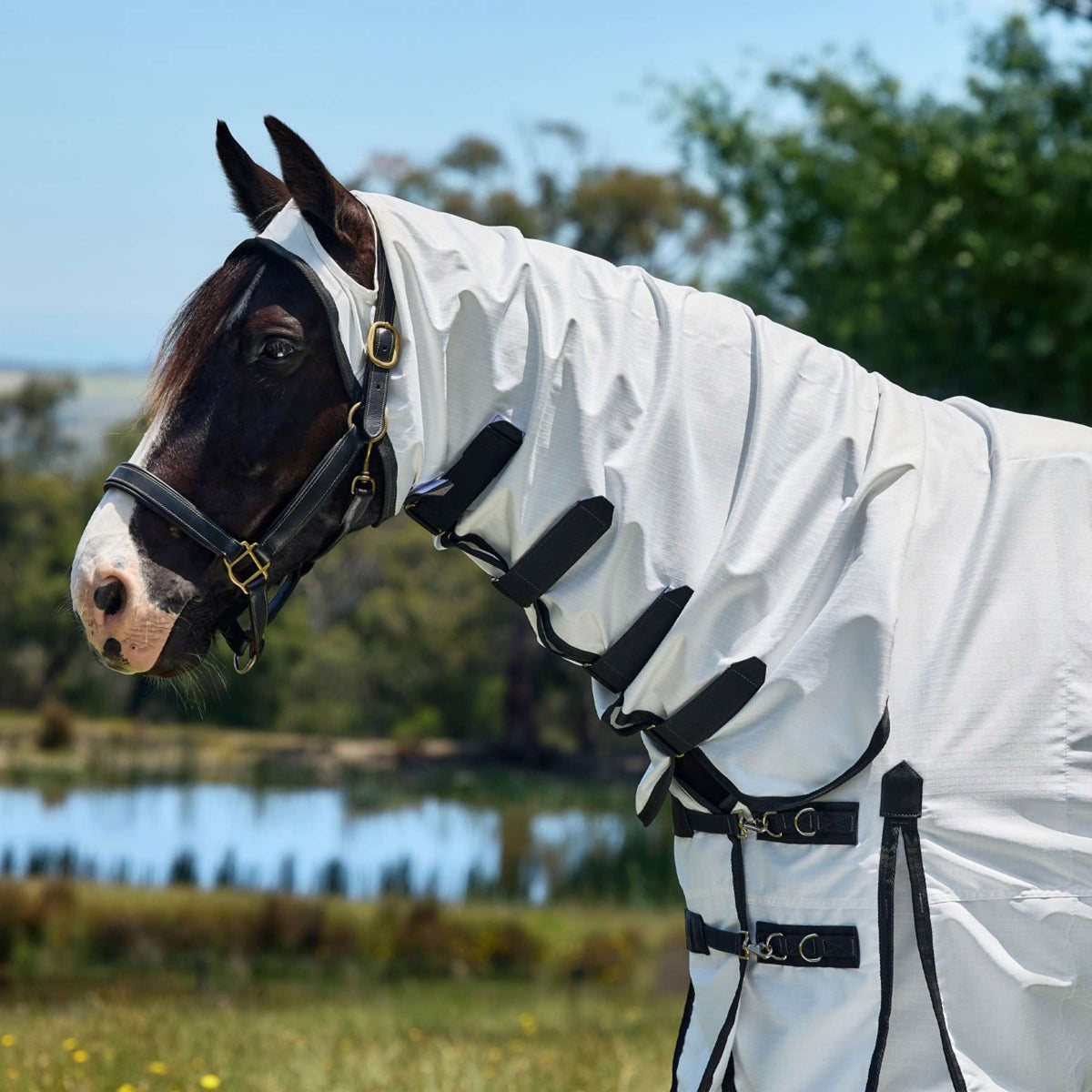 WeatherBeeta Ekzemerdecke ComFiTec Sweet Itch Combo Weiß/Charcoal