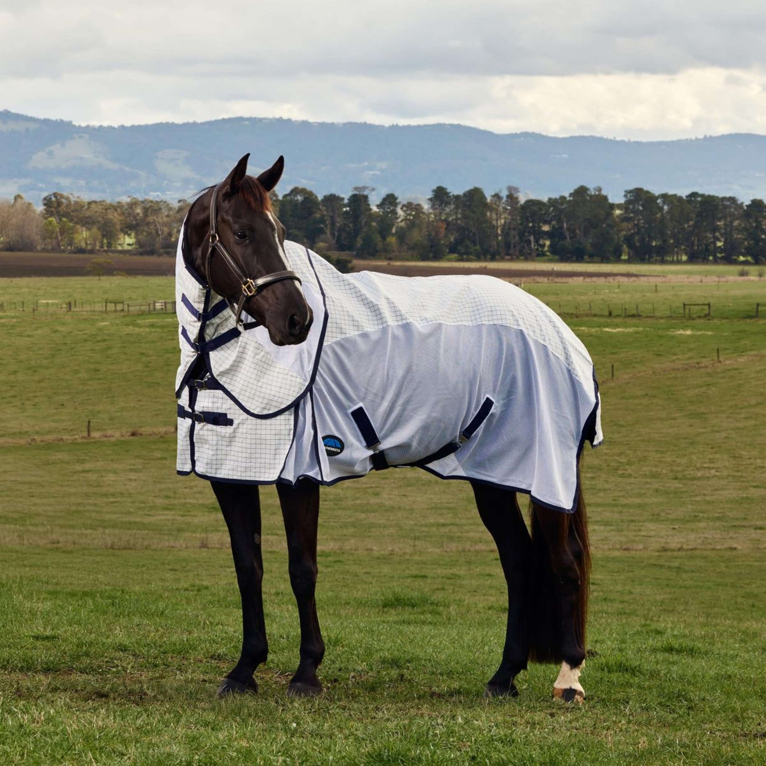 WeatherBeeta Sommerdecke Airstream Combo Weiß/Navy WeatherBeeta Sommerdecke Airstream Combo Weiß/Navy