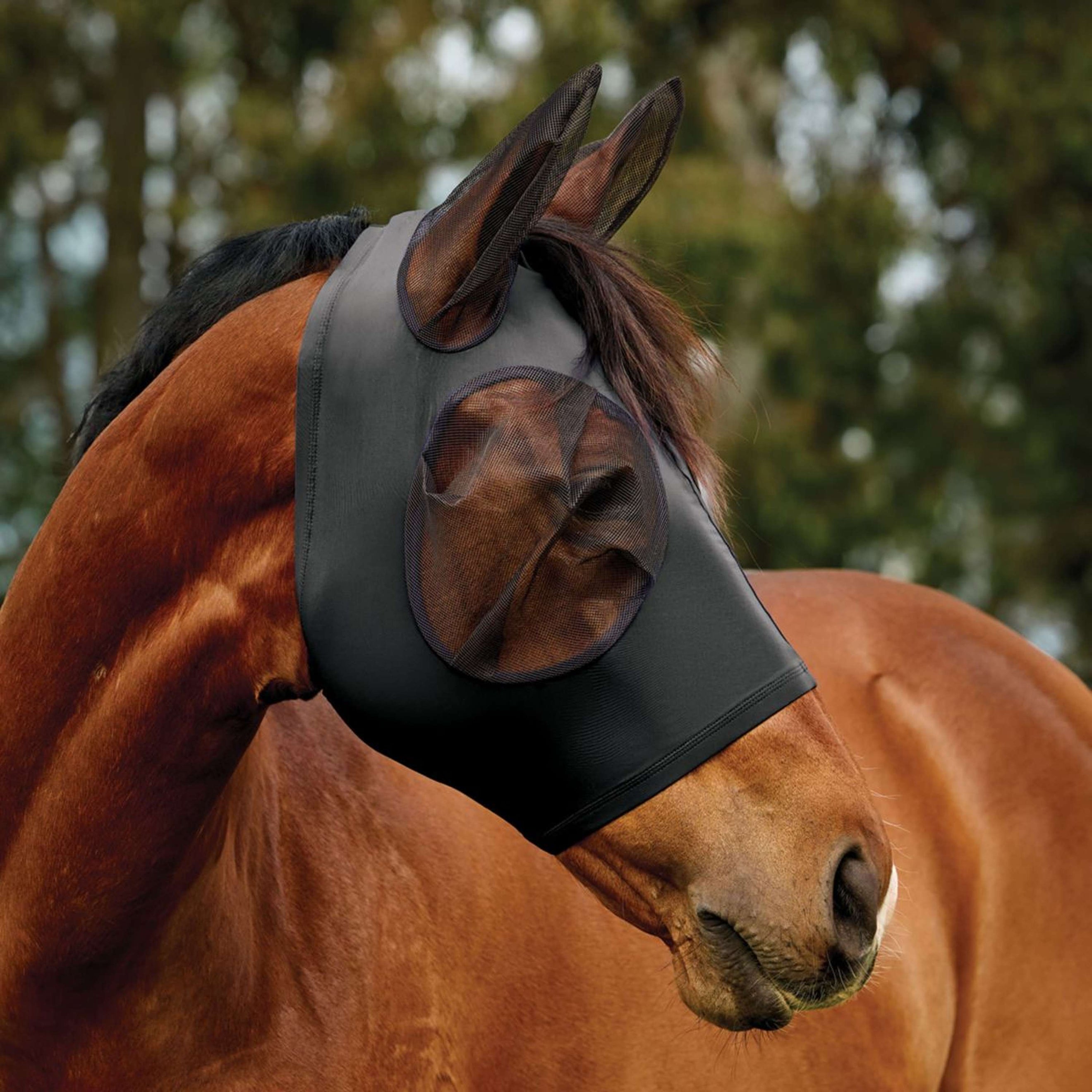 WeatherBeeta Fliegenmaske ComFiTec Deluxe Stretch mit Ohren Schwarz/Schwarz WeatherBeeta Fliegenmaske ComFiTec Deluxe Stretch mit Ohren Schwarz/Schwarz