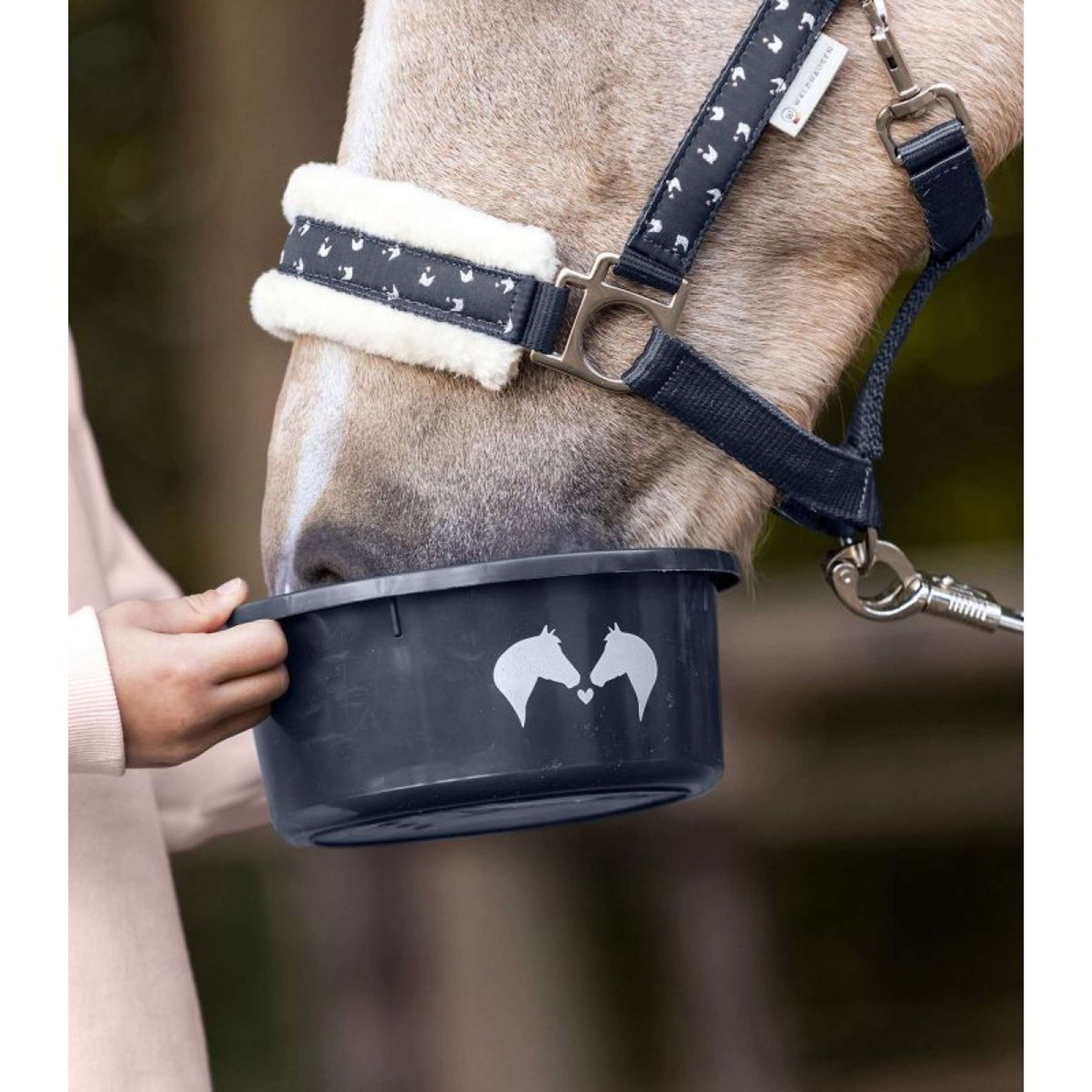 Waldhausen Müslischale mit Deckel Nachtblau