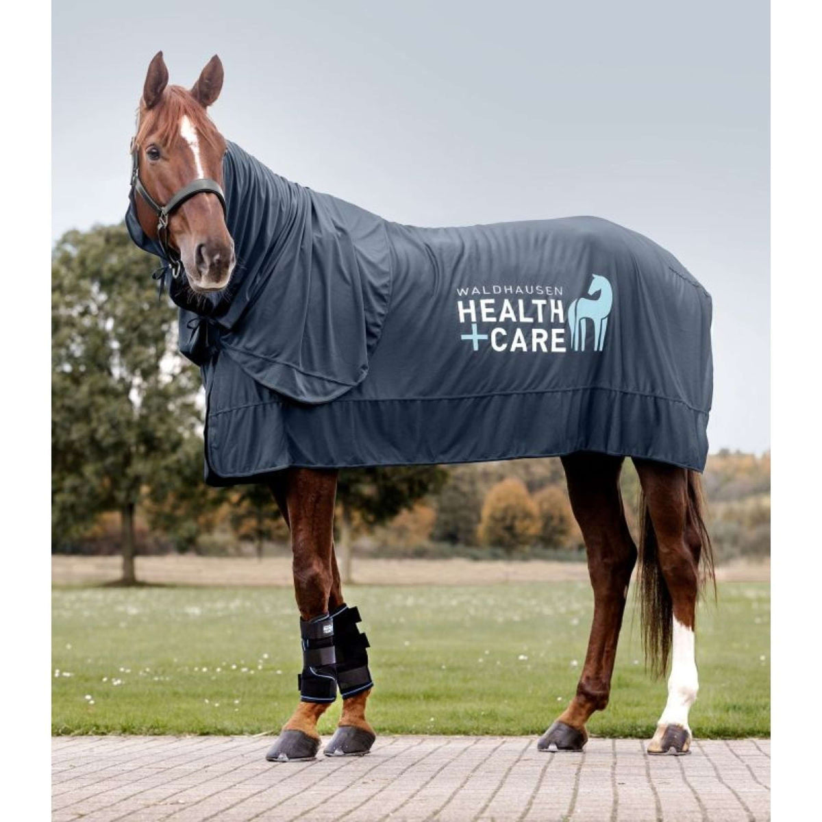 Waldhausen Health + Care Ice Boots Schwarz