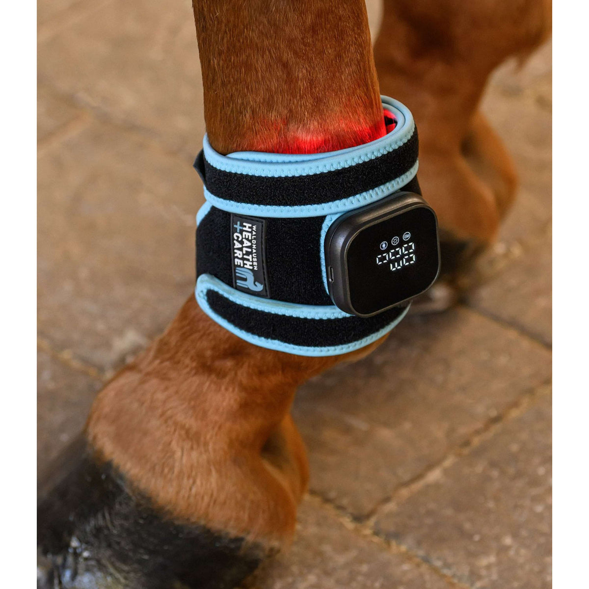 Waldhausen Health + Care Infrarot FlexPad Schwarz