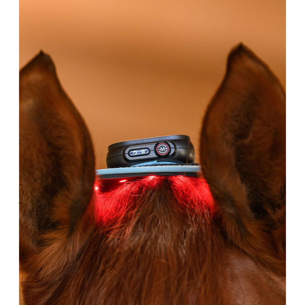 Waldhausen Health + Care Infrarot FlexPad Schwarz