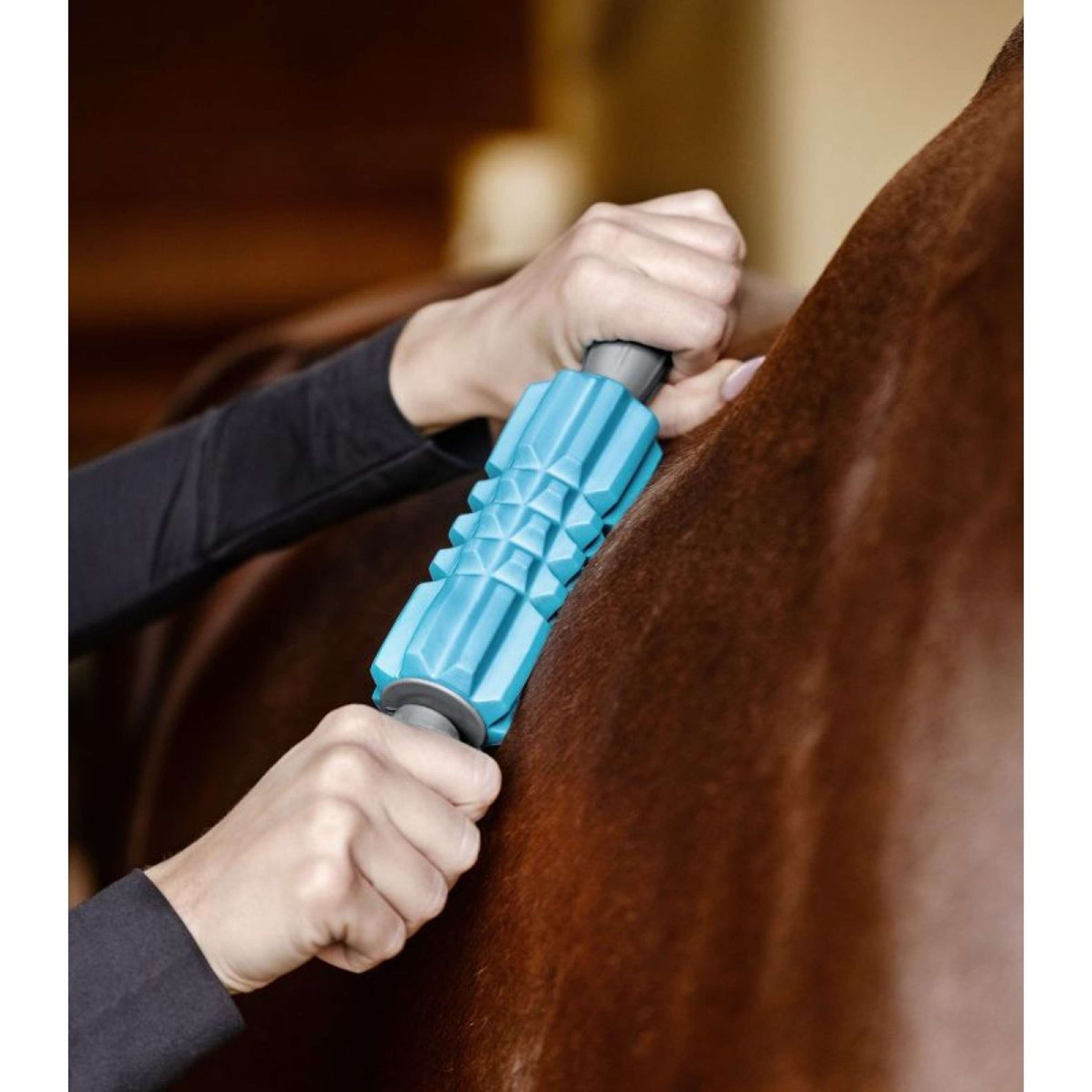 Waldhausen Health + Care Massagebürste Faszien Fit Grau/Blau