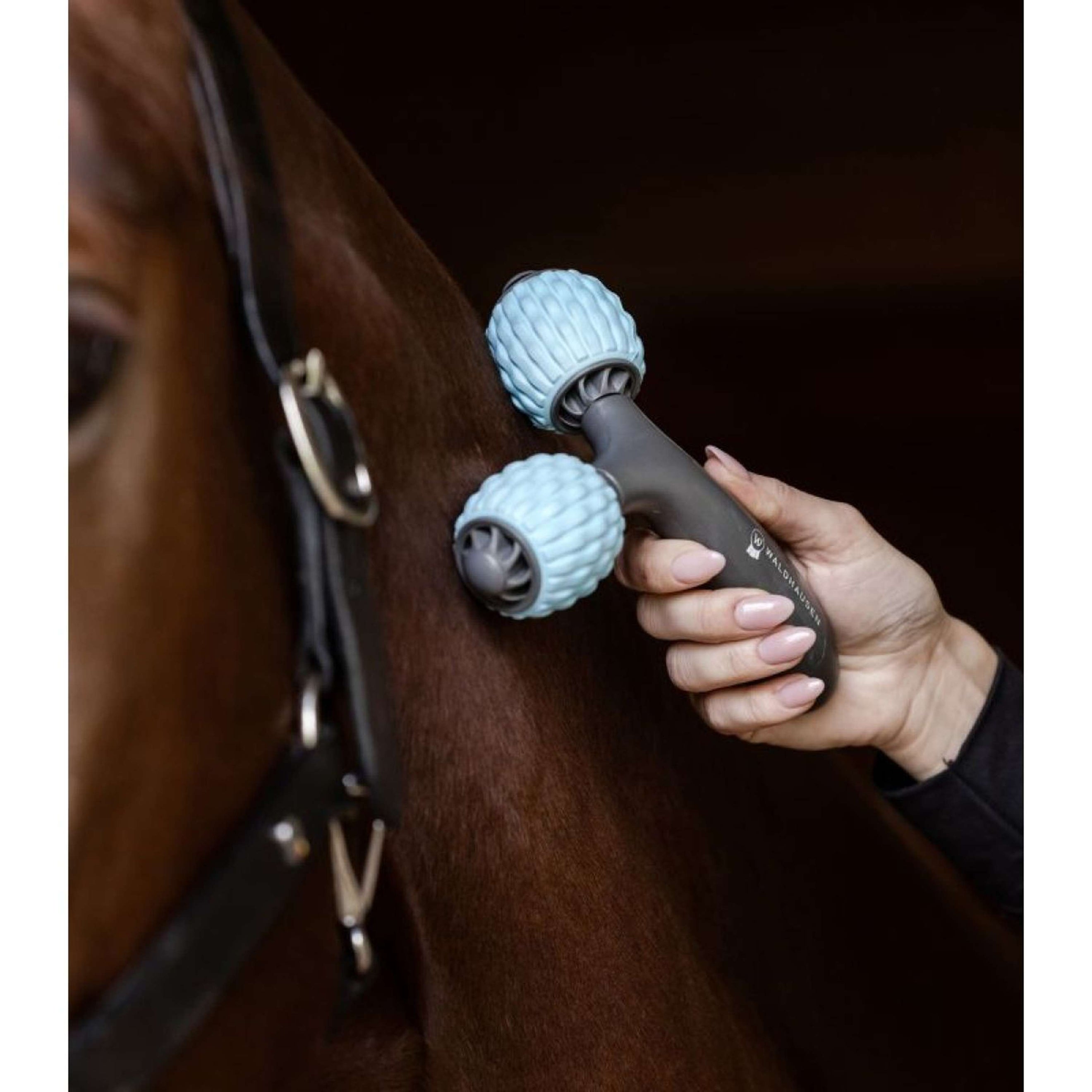 Waldhausen Health + Care Massagebürste Comfort Creator Grau/Blau