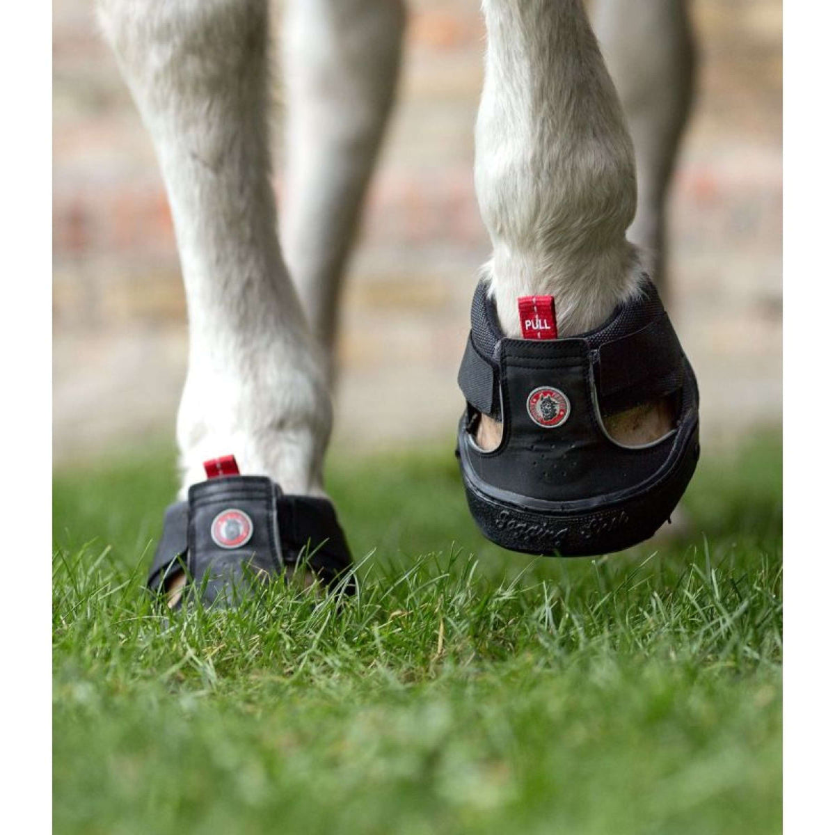 Equine Fusion Hufschuh Trekking Schwarz