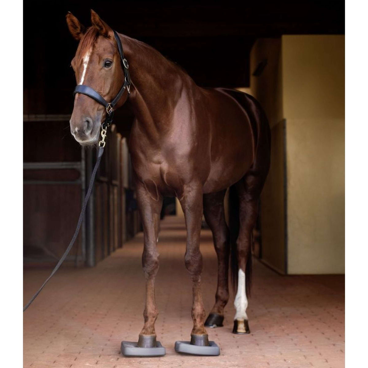 Waldhausen Health + Care Balance Pads Grau