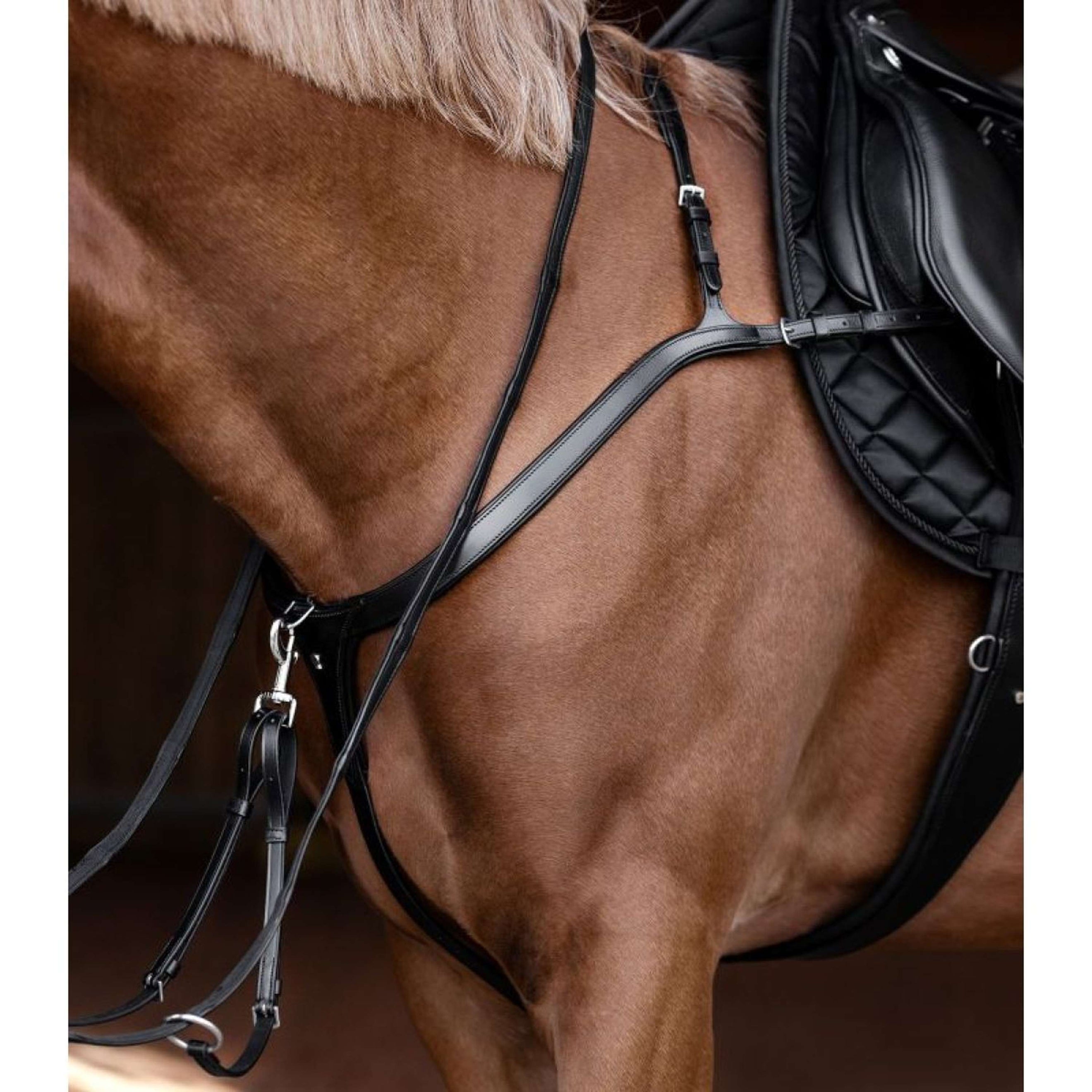 Waldhausen Martingal X-Line Schwarz Waldhausen Martingal X-Line Schwarz