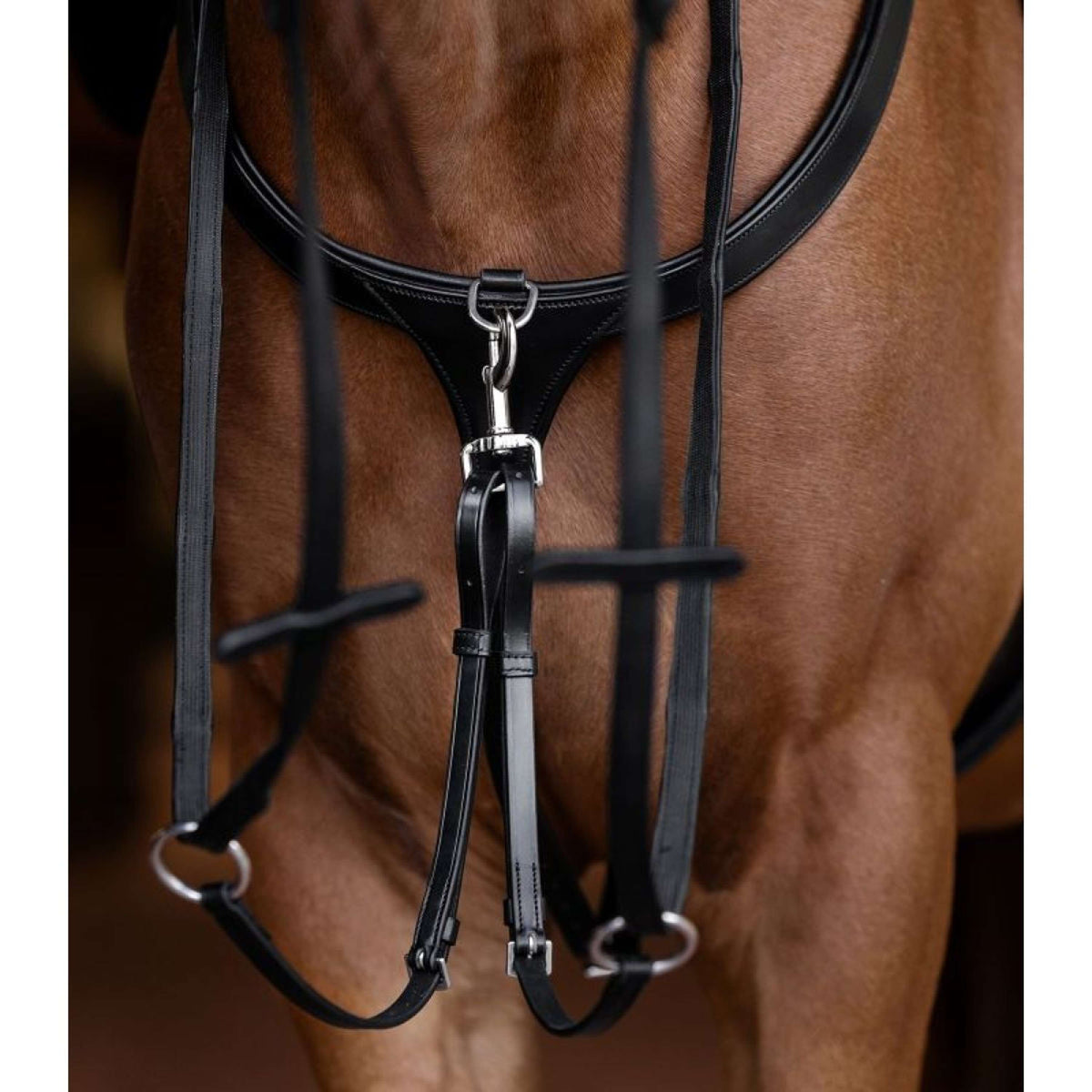 Waldhausen Martingal X-Line Braun