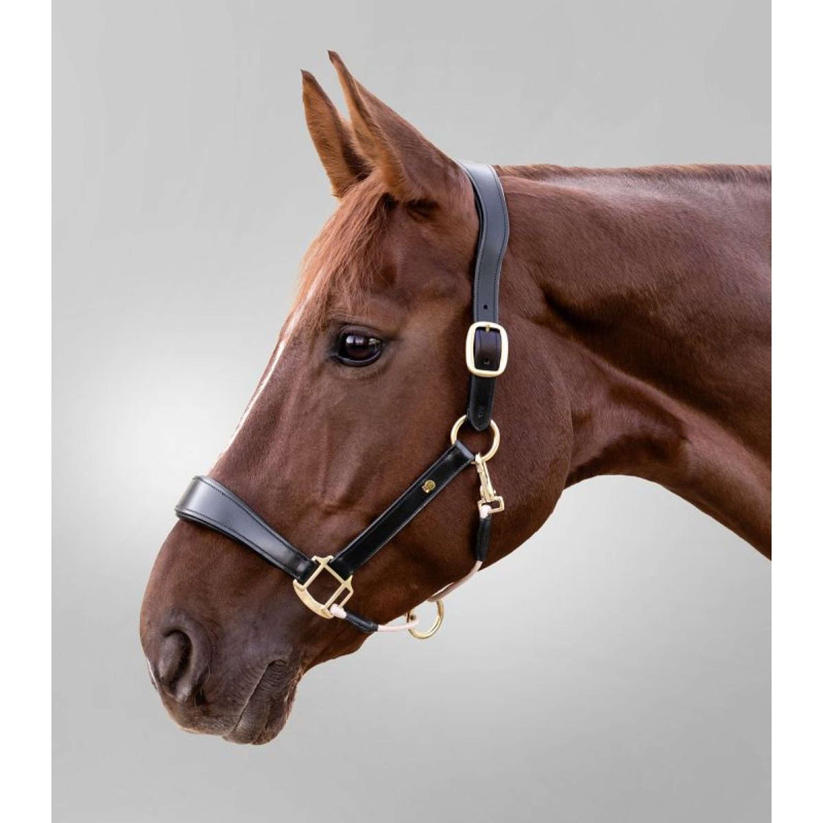 Waldhausen Halfter S-Line Leather Schwarz