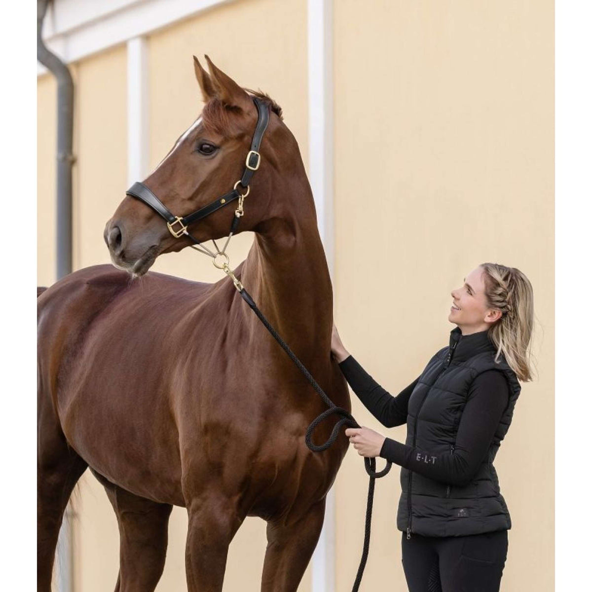 Waldhausen Halfter S-Line Leather Schwarz